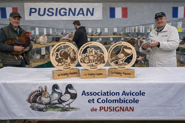 trophee-personnalisé-en-bois