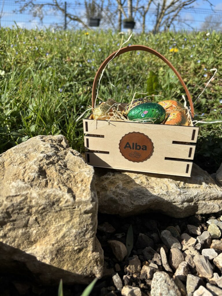 chasse-aux-oeufs-de-paques-2026